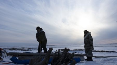 John Pingayak and his grandson, John "Sonna Boy" Pingayak III cut and gather wood. (National Geographic/Matt Kynoch)