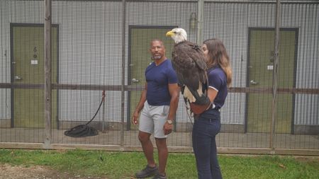 Christian Cooper admires Independence, Auburn's honorary War Eagle, before her pre-gameday flight practice. (National Geographic for Disney)