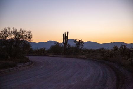 A cactus in front of the Superstition Mountain range. (National Geographic/Tom Beard)