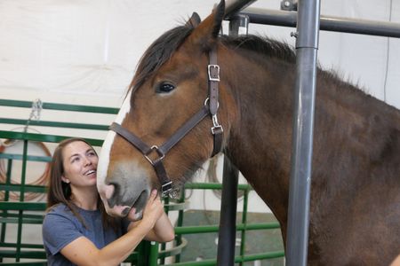 Kate Greckel looks at her horse June joyfully after finding out she's pregnant. (National Geographic)