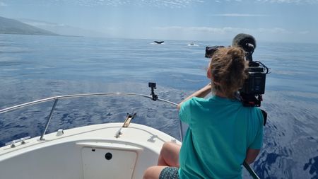 Ruth Davies films whales off the front of a boat in Maui, HI. (National Geographic for Disney/Rory Dormer)