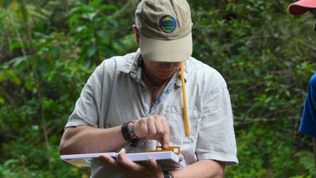 National Geographic Explorer Ingi Agnarsson researching Darwin's bark spiders in Madagascar. (Credit: Joshua Brown)