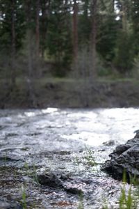 A shot of the river.  (National Geographic/Harrison Gayton)