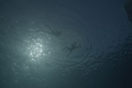 Drama recreation of Shelli Trentcosta swimming to her son Trent Trencosta after he's been bitten by a shark. (National Geographic/Samuel Gonzalez)
