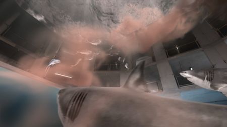 A GFX of Great White Sharks hunting down the school of fish while in the shark lab studio. (National Geographic)