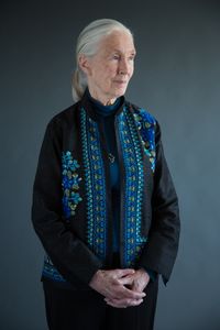 Conservation icon Dr. Jane Goodall. (photo credit: National Geographic/Stewart Volland)