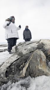The Pingayak family finds a washed up whale on the frozen beach. (National Geographic/Matt Kynoch)