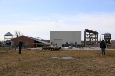 Ben Reinhold and Charles Pol stand in the Pol family's animal pasture, attempting to catch the Merino sheep for shearing. (National Geographic)