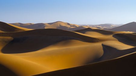 Dunes of the Namib Desert, the oldest desert in the world. (National Geographic)