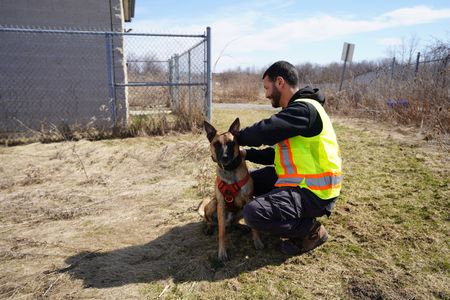 Noah Keoshkerian, Wildlife Control Officer, with Zeus the dog. (Arrow International Media Ltd & Cantina Media)
