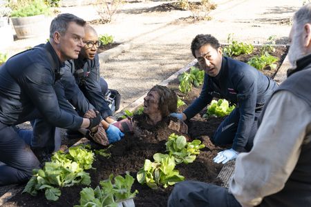 PETER KRAUSE, AISHA HINDS, MIRIAM FLYNN, KENNETH CHOI