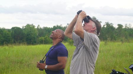 Christian Cooper and Mark Bailey observe the endangered red-cockaded woodpeckers coming back to their pine tree cavities at dusk. (National Geographic for Disney)
