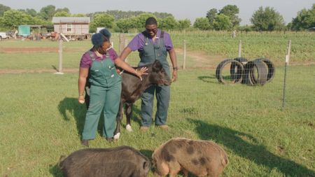 Vet tech, Arianna Hinkle, and vet student, Kyle Frett, keep Bella, the cow, calm while the doctors gather some supplies. (National Geographic for Disney)