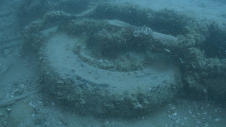 An underwater image shows the tire of Frank Moody's missing P-39 Airacobra plane in Lake Huron. (National Geographic)