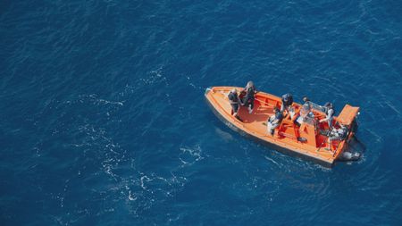 The team float off the coast of Florida after successfully managing to pull up, measure and tag a great hammerhead shark in under five minutes, a fantastic achievement to limit stress to the animal. (National Geographic)