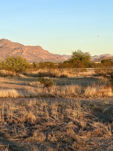 A field outside the city of Apache Junction, AZ, pictured in 2023, near the site where the body of Jane Doe was discovered in 1992. (National Geographic/Tom Beard)