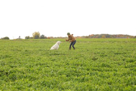 Beth Pol trains Clovis, the Pol family's new dog, to stay, while at the Pol family's farm. (National Geographic)