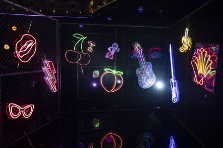 DANCING WITH THE STARS