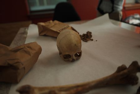 Jane Doe's skull and bones on the examination table at the Smith County Sheriff's Office. (National Geographic/Will Francome)