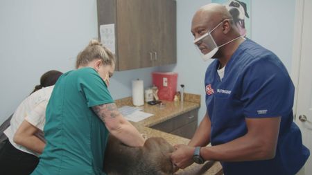Vet tech Jordan holds Ace, the dog, while Dr. Ferguson examines his leg. (National Geographic for Disney)