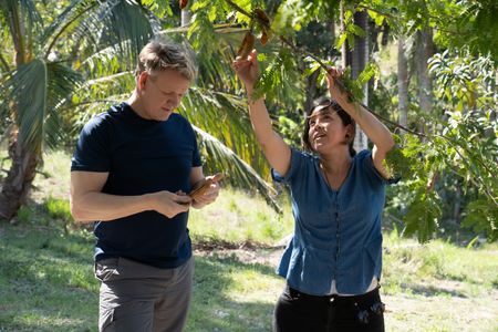 Gordon Ramsay and Annabelle forage for honey. (National Geographic/Justin Mandel)