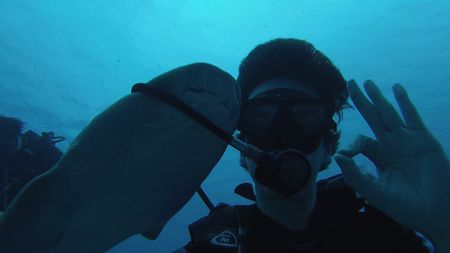 Nurse shark removes a diver’s regulator. (National Geographic)