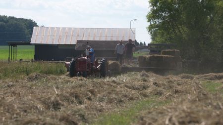 As Dr. Pol drives the red tractor with a hay baler attached, Ben Reinhold and Charles Pol stack the bundles of hay onto a trailer. (National Geographic)