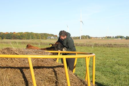 Charles Pol hugs Beth Pol's cow, Boots, in the Pol family farm's animal pasture. (National Geographic)