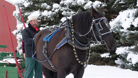 Dr. Ben Schroeder prepares his horse Victor to pull their sleigh. (National Geographic)