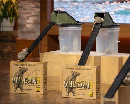 VULCAN PEST