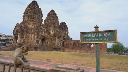 A long tailed macaque sits on a fence next to a temple in Lopburi, Thailand. (Getty Images)