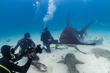 Ultra athlete Ross Edgley and shark expert, Mike Heithaus from Florida International University, with a chunk of ballistic gel. They're about to test how much a tiger shark can eat in one bite. (National Geographic/Nathalie Miles)