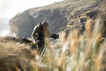 Cinematographer Tom Beldam filming on clifftops, partially obscured by tussock grass. (National Geographic for Disney/Imogen Prince)