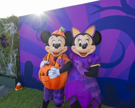 MICKEY MOUSE, MINNIE MOUSE