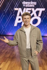 ROBERT IRWIN