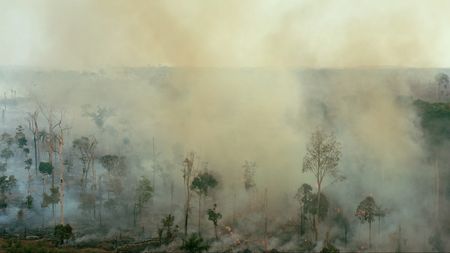 Rainforest on fire from climate change. (credit: Pond5)
