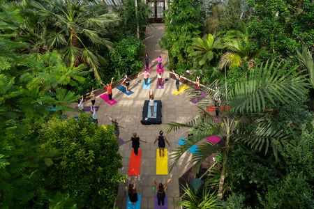 A group does yoga in the Temperate House at Kew Gardens as seen in Best of the World with Antoni Porowski. (National Geographic/John Wendle)
