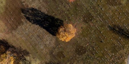Forest Lawn Cemetery where Fulton County John Doe was buried in an unmarked plot for 28 years. (National Geographic)