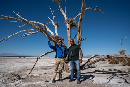 Christian Cooper and Frank Ruiz stand in front of a dead tree with nests that used to be homes to Great Blue Herons. The Salton Sea has long been a vital stop for migrating birds. (National Geographic/Jon Kroll)