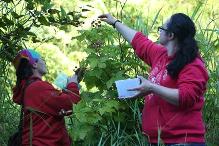Veronica Arrants and Breanna Miethe pick berries. (National Geographic/Wayne Moss)