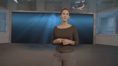 Dr. Diva Amon, expert, in the shark lab discussing to camera whether due to Jameson Jr. holding onto a pool noodle at the time of his attack, if this could have been a factor that attracted the shark to bite him. (National Geographic)