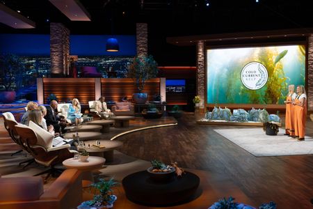 KEVIN O'LEARY, LORI GREINER, RASHAUN WILLIAMS, INGA POTTER, KRISTA ROSEN