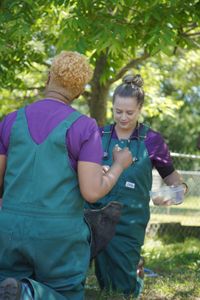 Vet tech, Jordan Howell, tries to get Bella, the pig, to cooperate with some apple treats. (National Geographic for Disney/Nicholas Reaves)