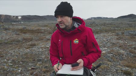 Jon Aars takes body condition measurements and biopsy samples from the sedated polar bear. (National Geographic)