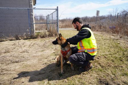 Noah Keoshkerian, Wildlife Control Officer, with Zeus the dog. (Arrow International Media Ltd & Cantina Media)