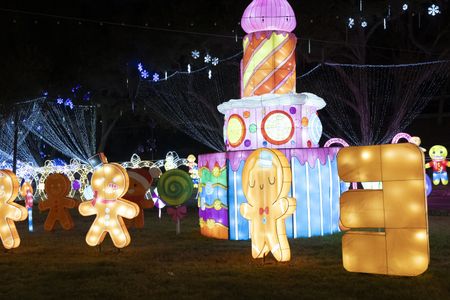 GREAT CHRISTMAS LIGHT FIGHT