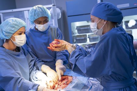 JUANI FELIZ, HAILEY KILGORE, MACKENZIE PORTER