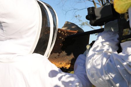 Beth Pol, in a bee suit, inspects a frame from one of the Pol family farm's bee hives, while a crew member films. (National Geographic)