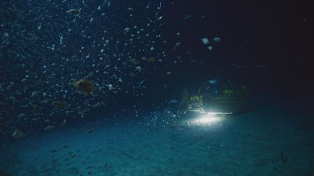 As the OceanXplorer submersible reaches the bottom at 820ft, Melissa Marquez and Pedro Afonso sit and wait for sixgill sharks to appear. (National Geographic)
