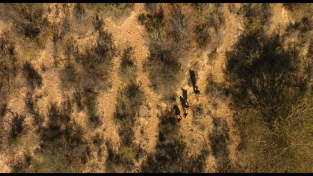 Will Smith travels with guide Kane Motswana and the San through the desert at dusk. (credit: National Geographic)